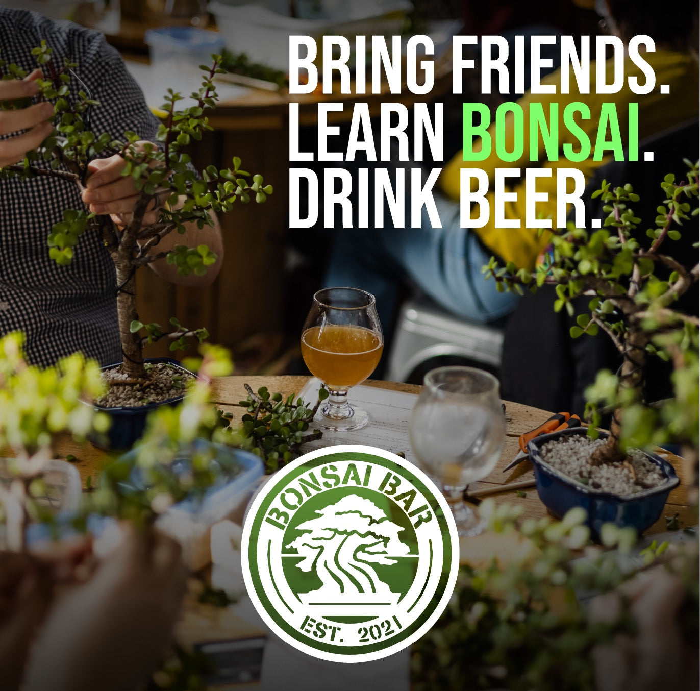 Bonsai Bar